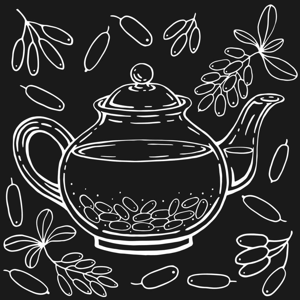 Set with glass teapot, barberry. Hand drawn illustration in outline style. vector