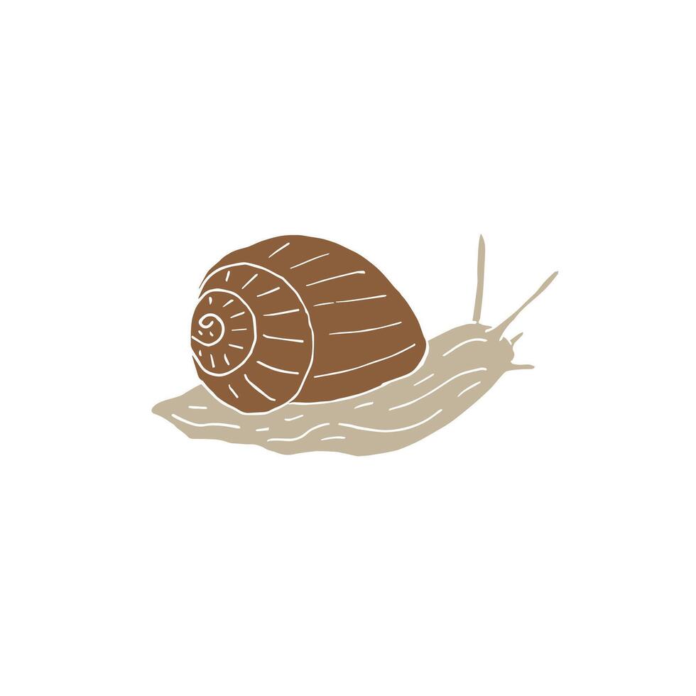 Hand drawn doodle sketch snail vector