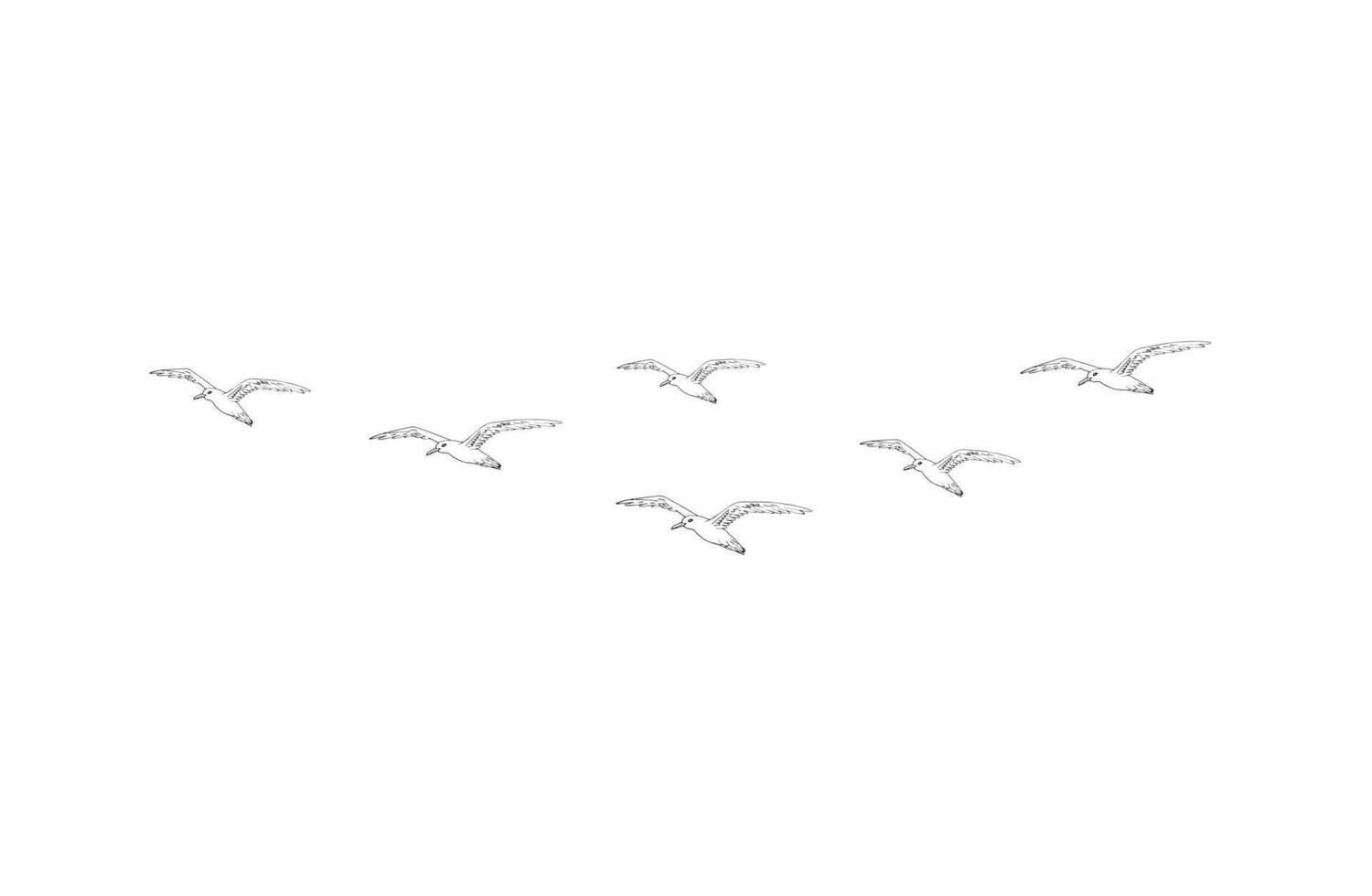 Sketch flying seagull birds flock vector