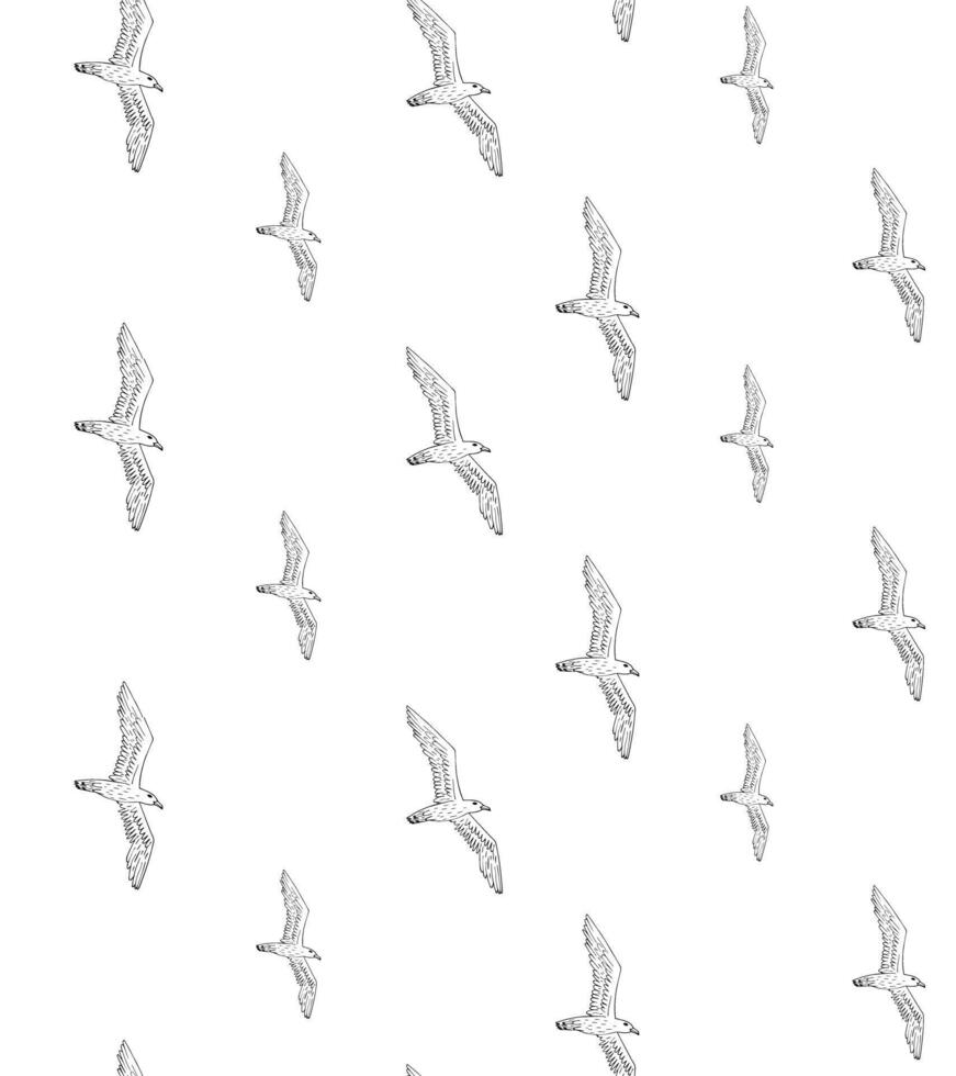 Seamless pattern of seagull birds flock vector