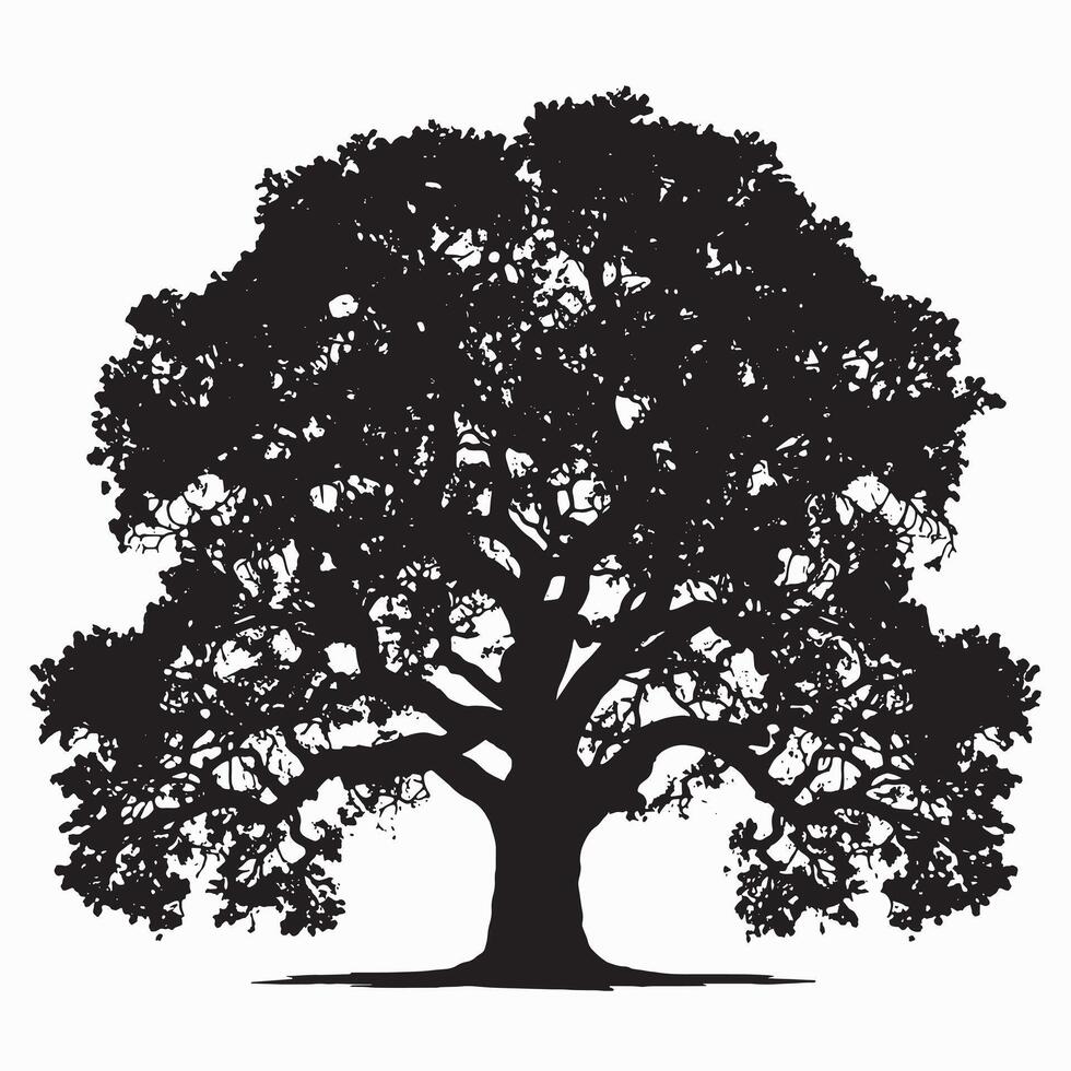 Natural Oak Tree Silhouette Outline vector