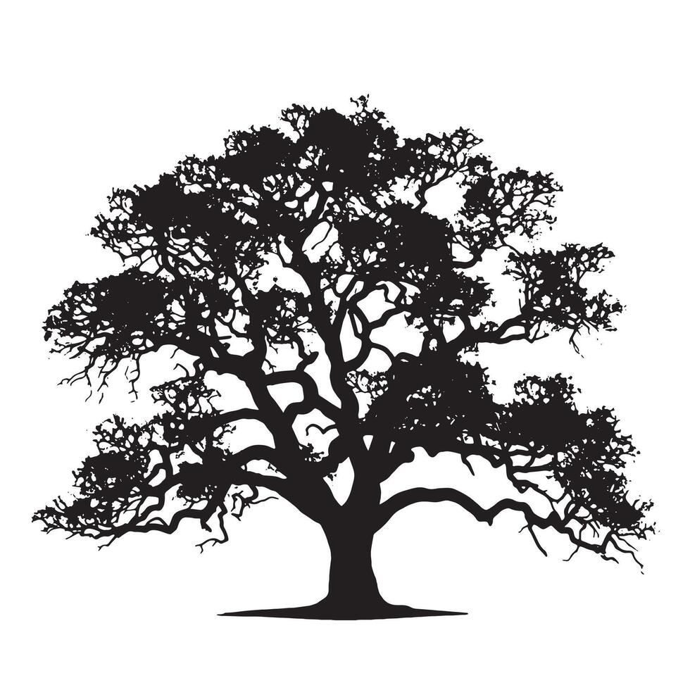 Oak Tree Silhouette for Nature vector