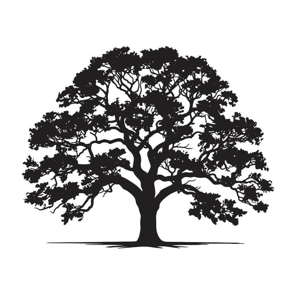 Majestic Oak Tree Silhouette for Fine Art vector