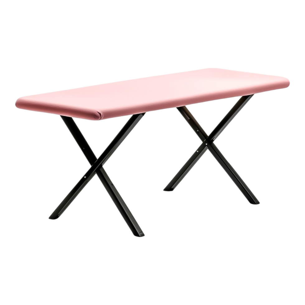 Pink Bench with Black Frame for Modern Interior Use and Design png