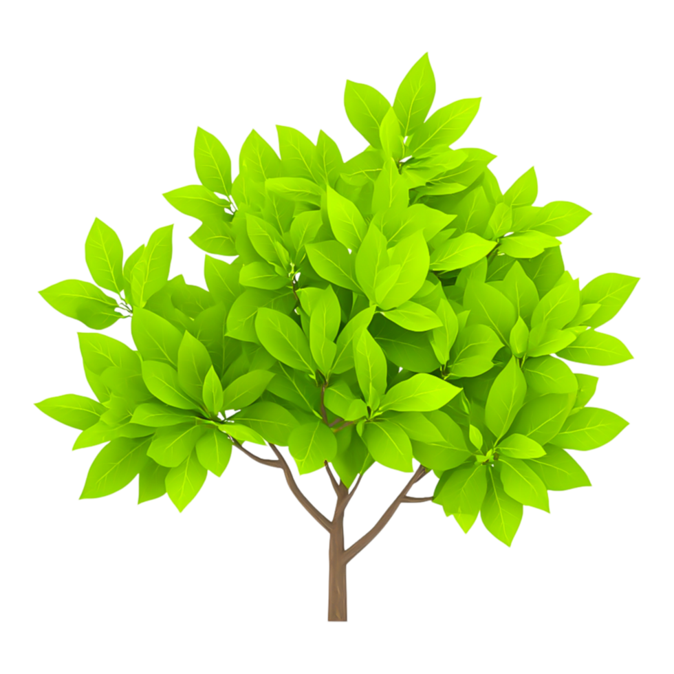 Lush Green Tree with Abundant Leaves png