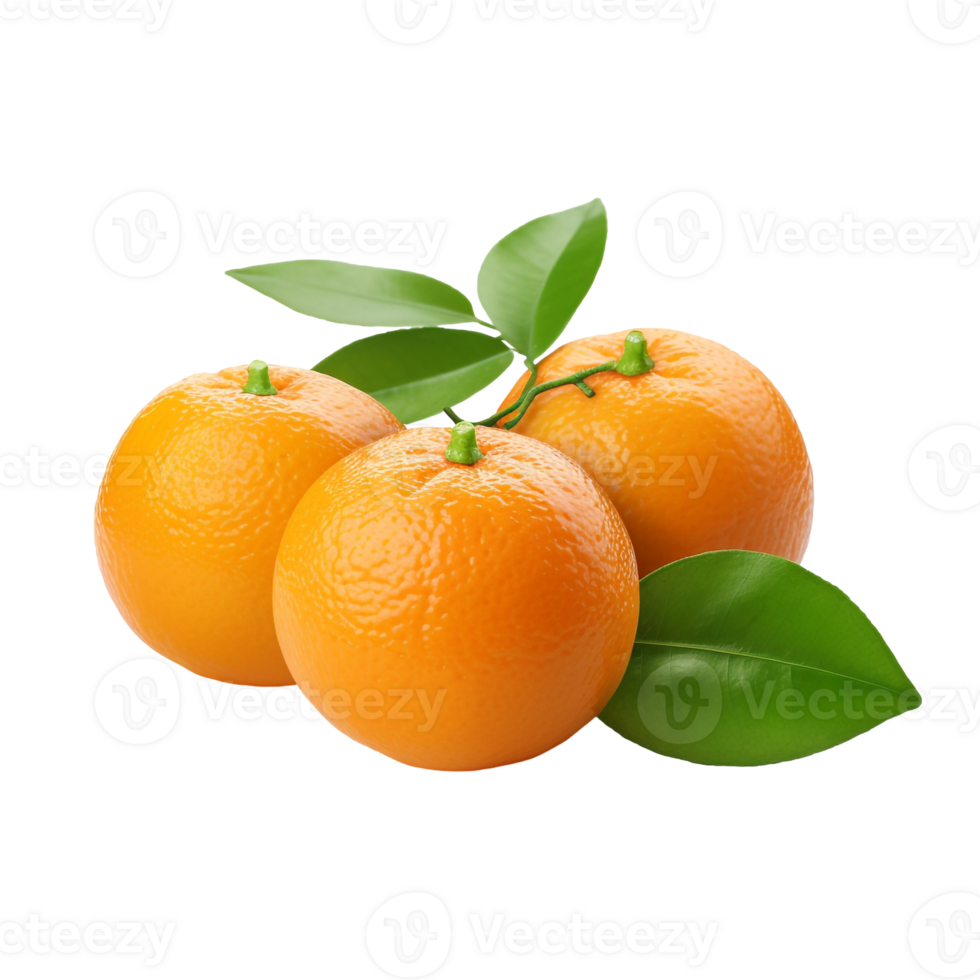 Mandarins Paired with a Single Orange png