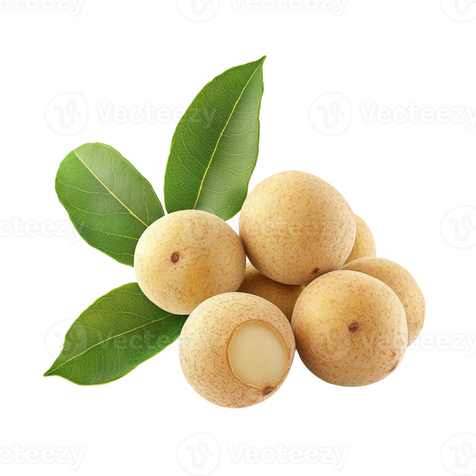 Tropical Longan Fruit with Green Leaves png