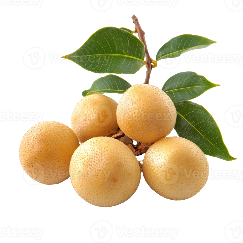 Longan Cluster with Leaves in Natural Arrangement png