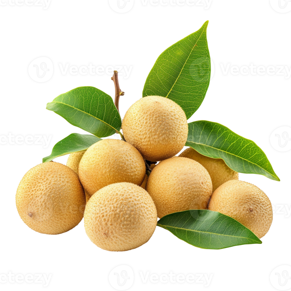 Whole Longan Fruit Cluster with Leaves png