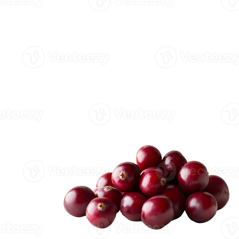 Isolated Cranberries with Smooth Texture png
