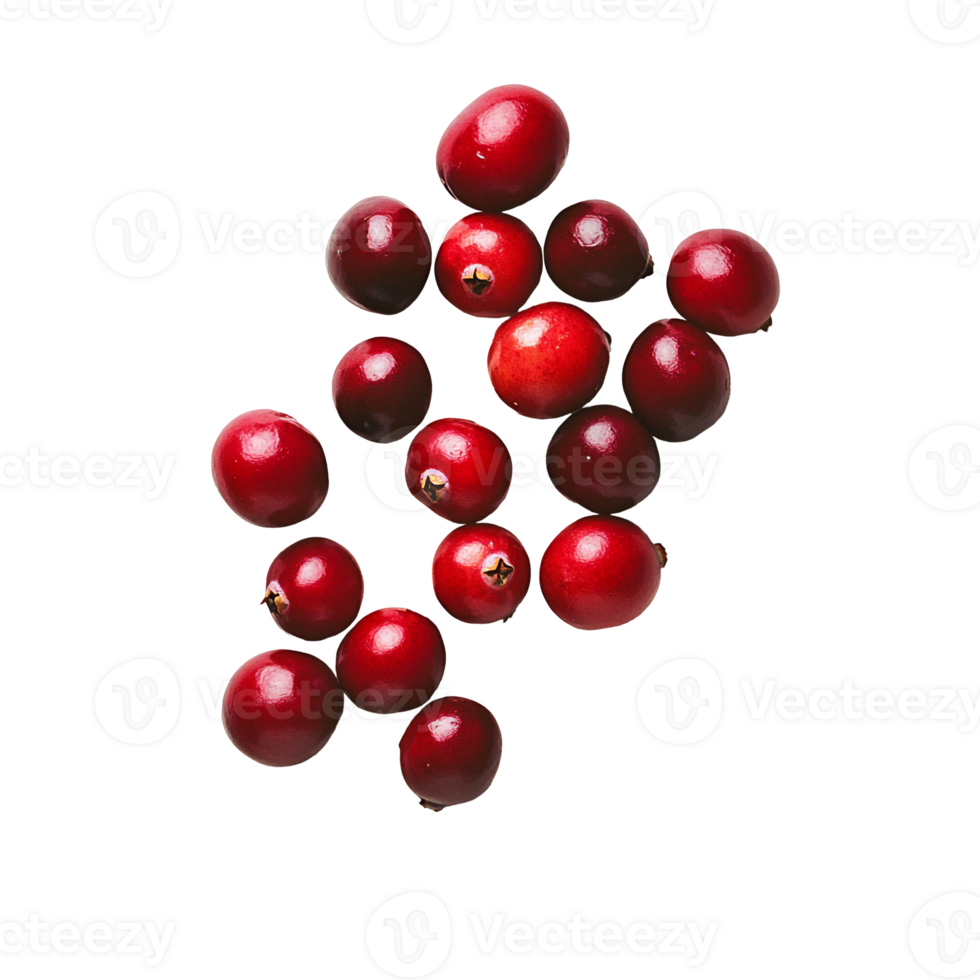 Cranberries with Bright Red Color Isolated png