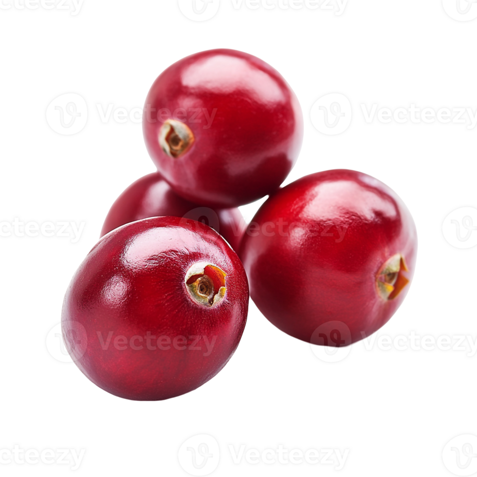 Fresh Cranberries in Isolated Display png