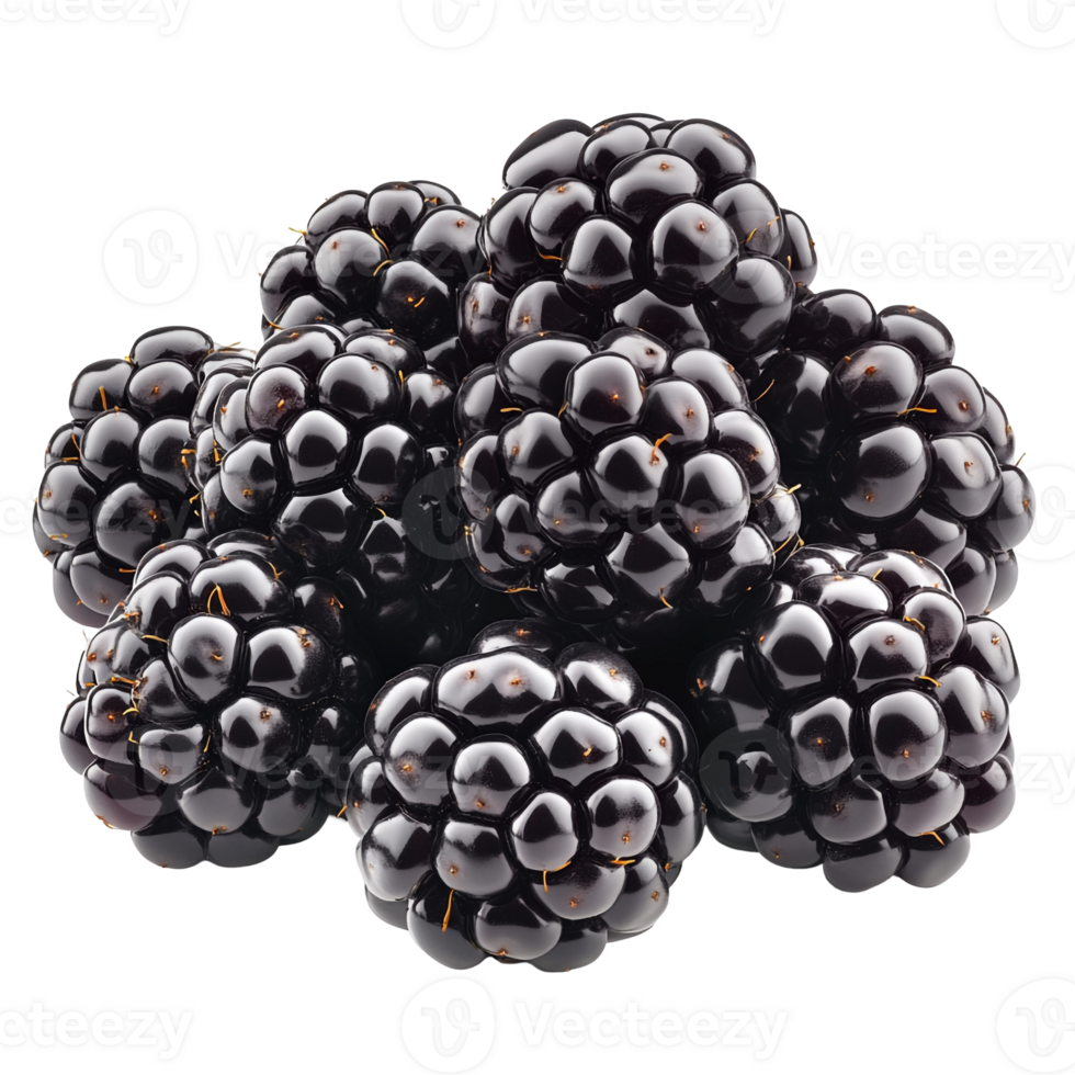 Fresh Bunch of Blackberries Isolated png
