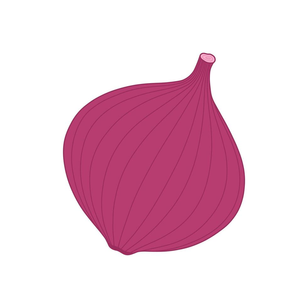kids drawing red onion cartoon isolated vector
