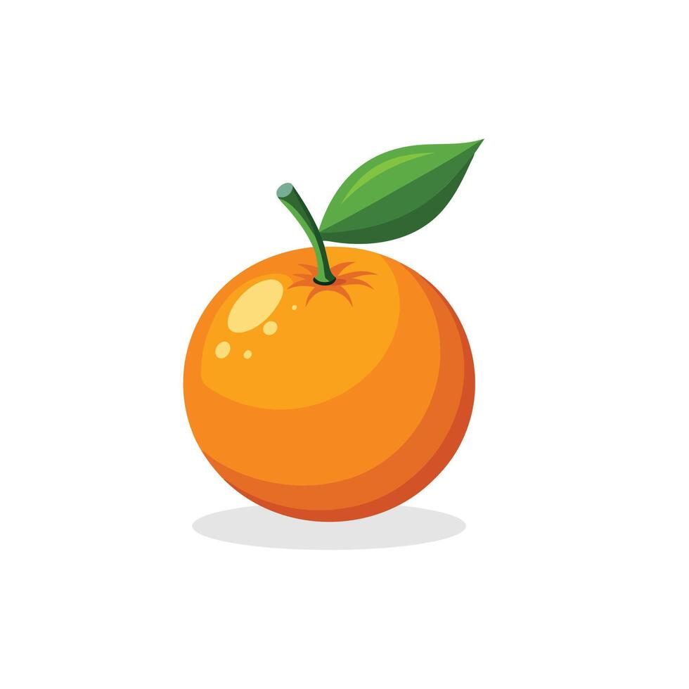 Clementine fruit isolated flat illustration on white background vector