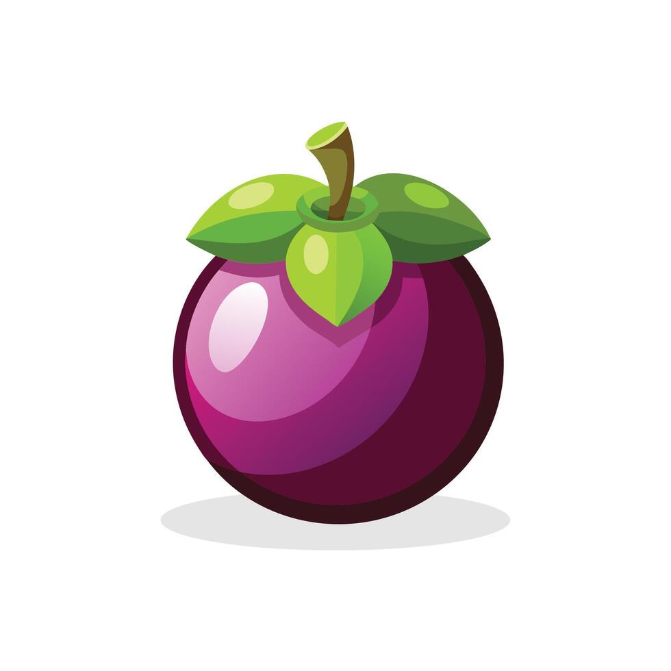 Mangosteen fruit isolated flat illustration on white background. vector
