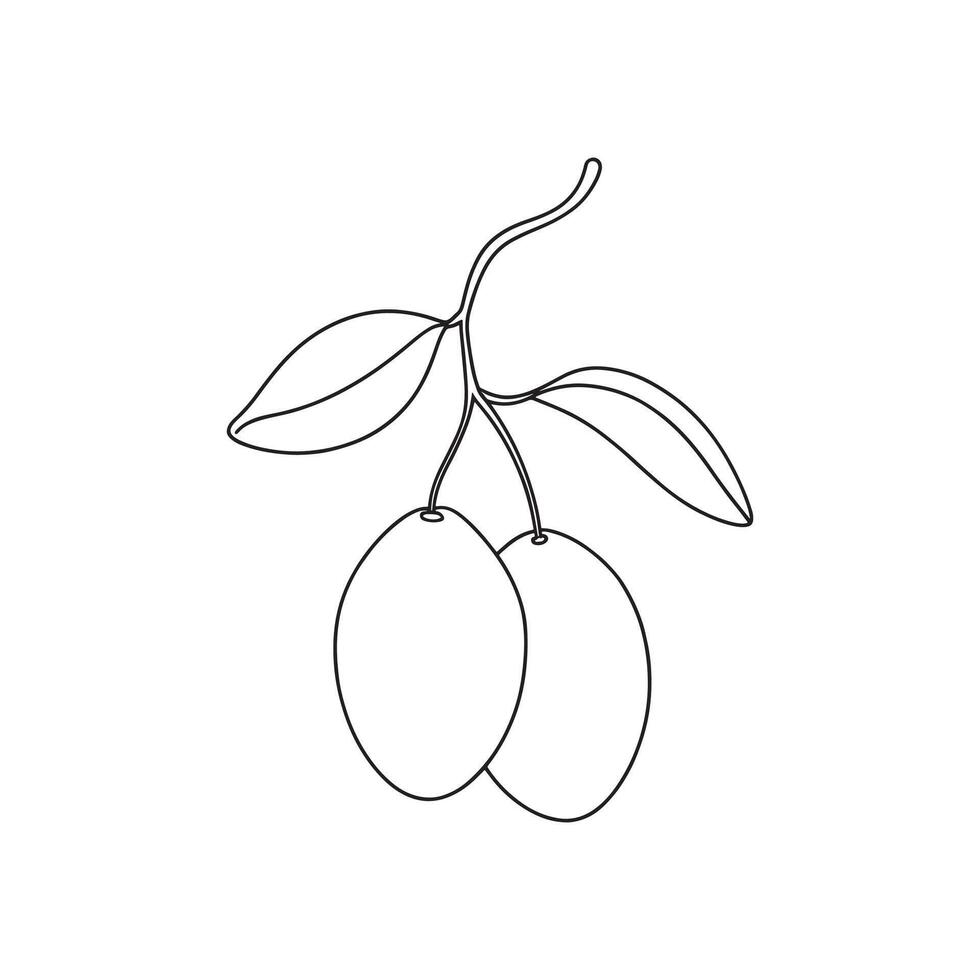 Kumquat fruit with leaf Continuous line art flat illustration vector