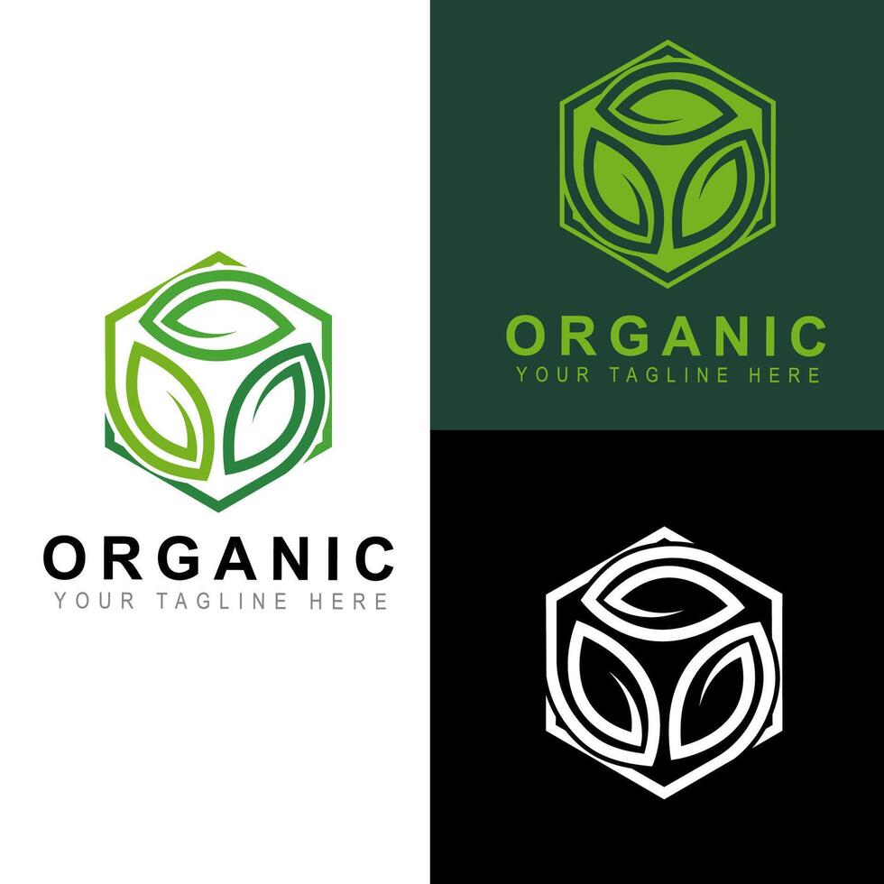 Organic 3 Three Leaf Plant Leaf with Hexagon Box concept design. vector