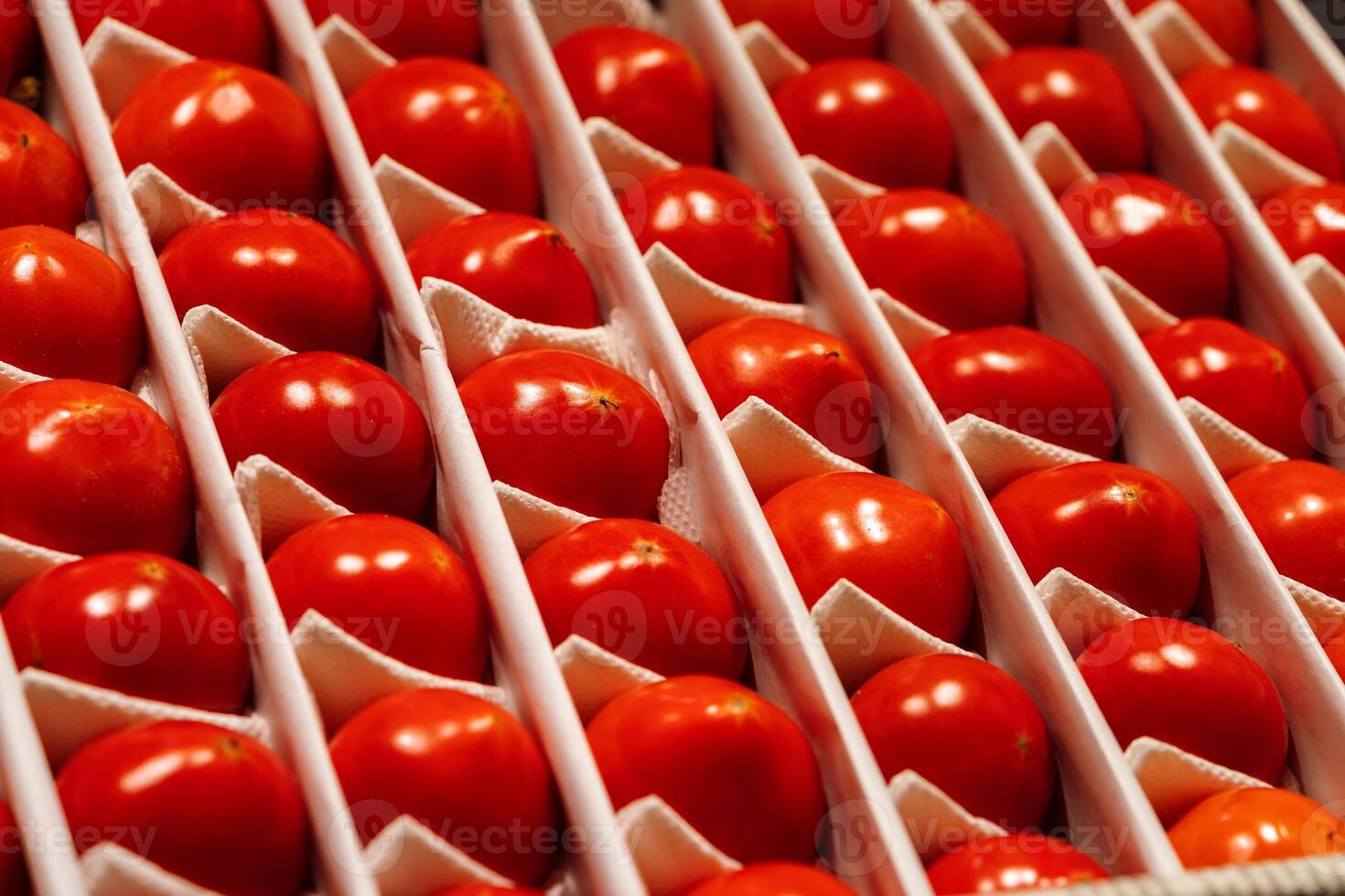 Fresh organic tomatoes on the street stall market photo