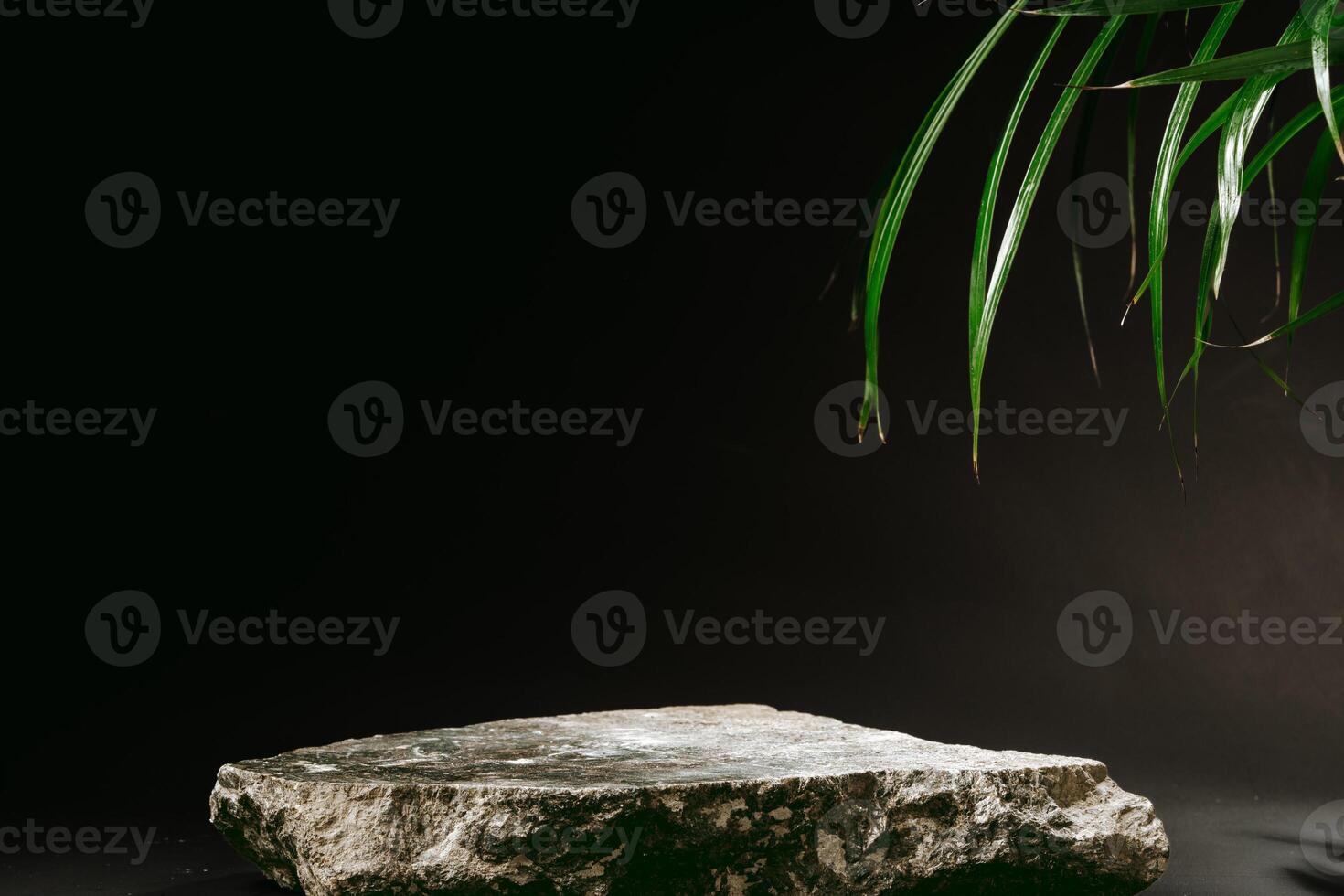 Granite stone with branch green leaf on dark gray background photo