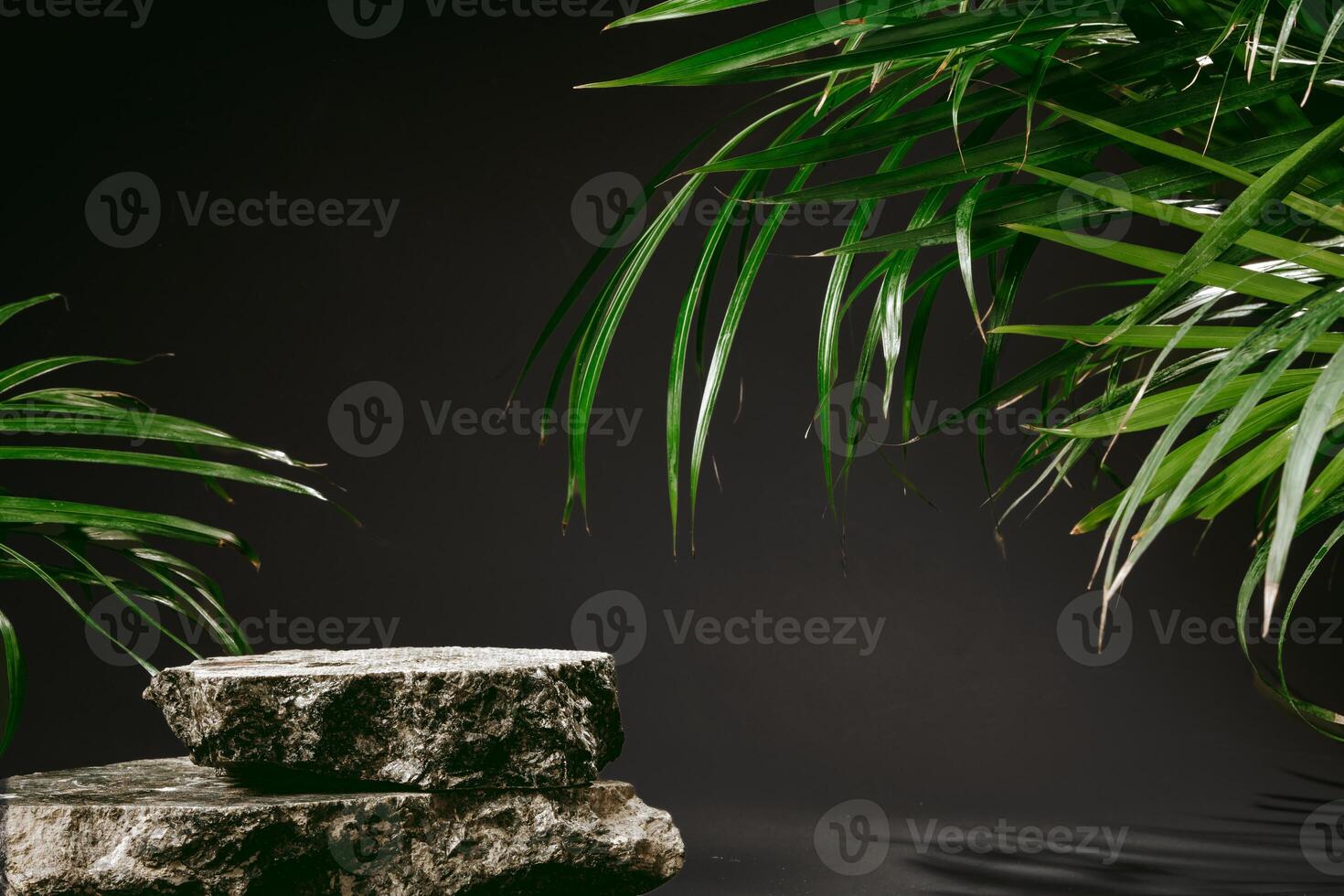 Granite stone with branch green leaf on dark gray background photo