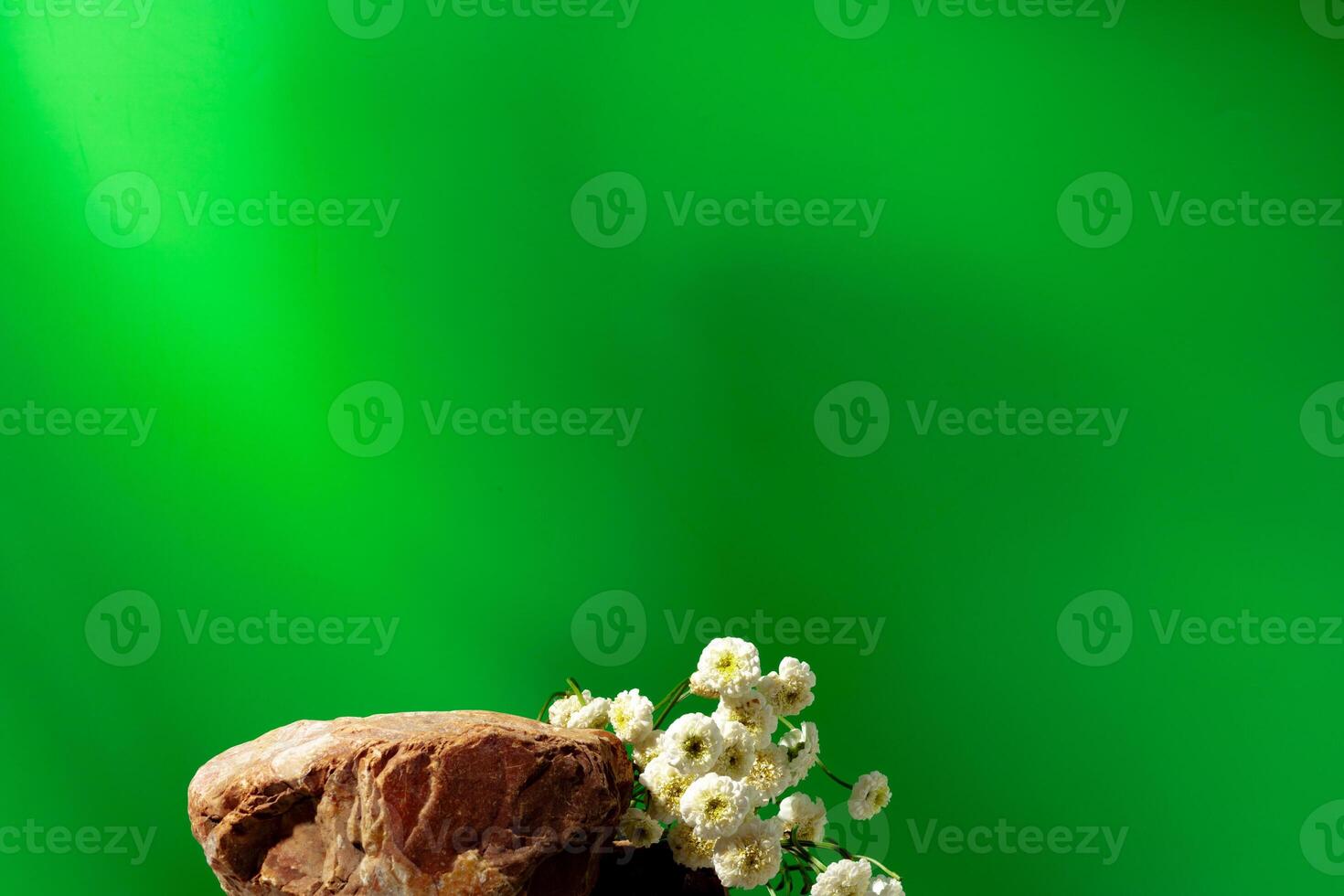 Mock up stone podium against green background photo