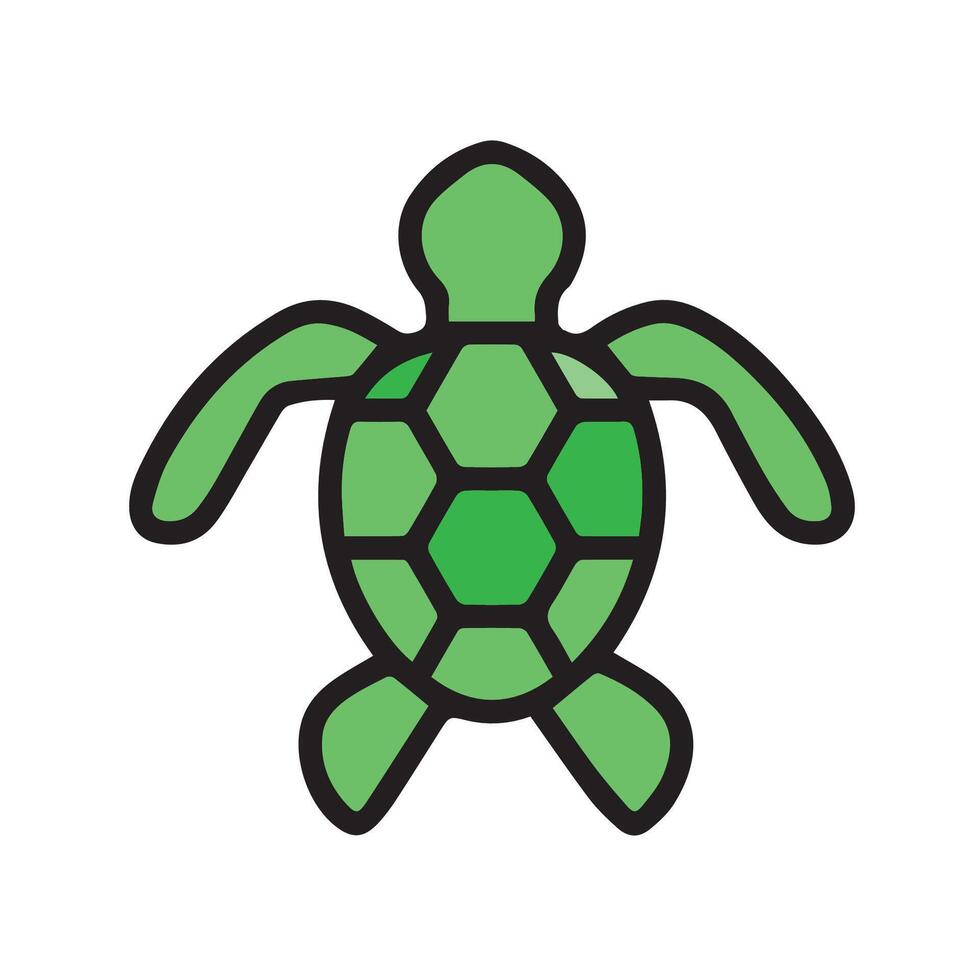Appearance of a green turtle from above vector