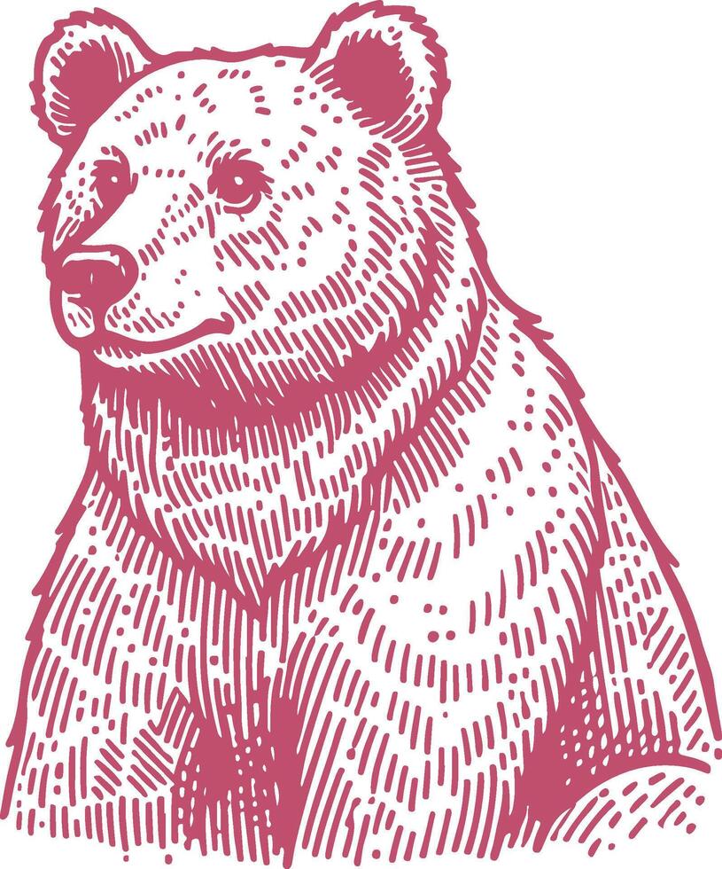 Hand Drawn Bear Drawing vector