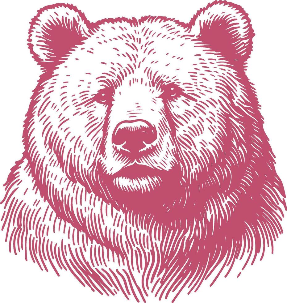 Hand Drawn Bear Sketch vector