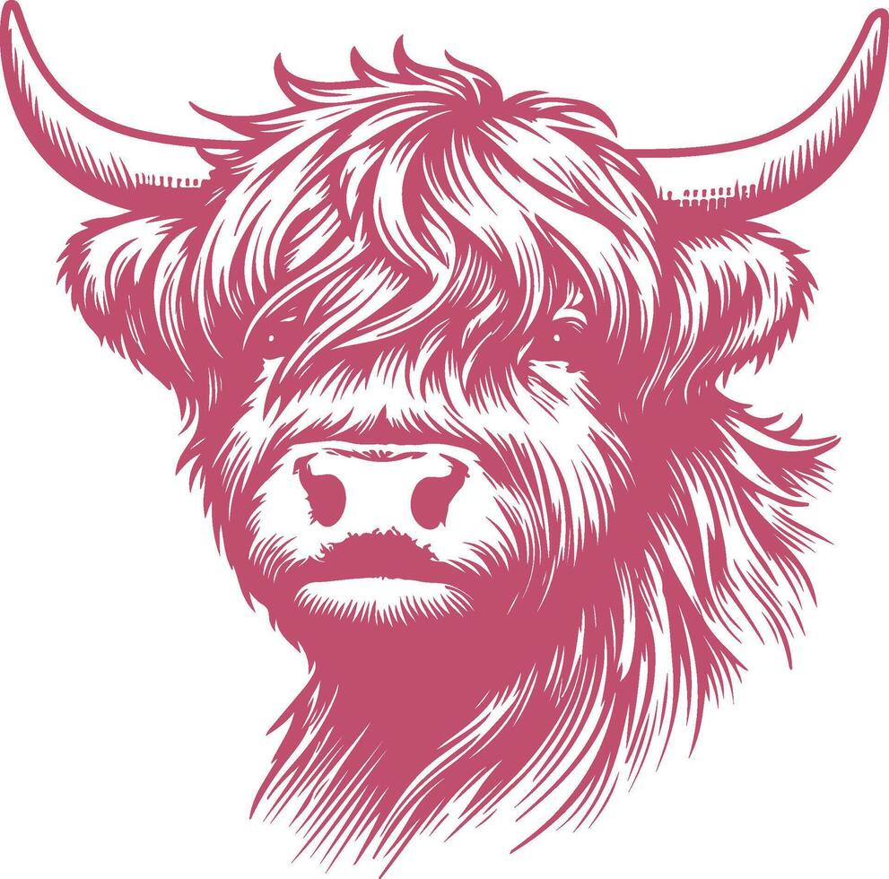 Vintage Hand-Drawn Highland Cow with Rustic Farm Detailing vector