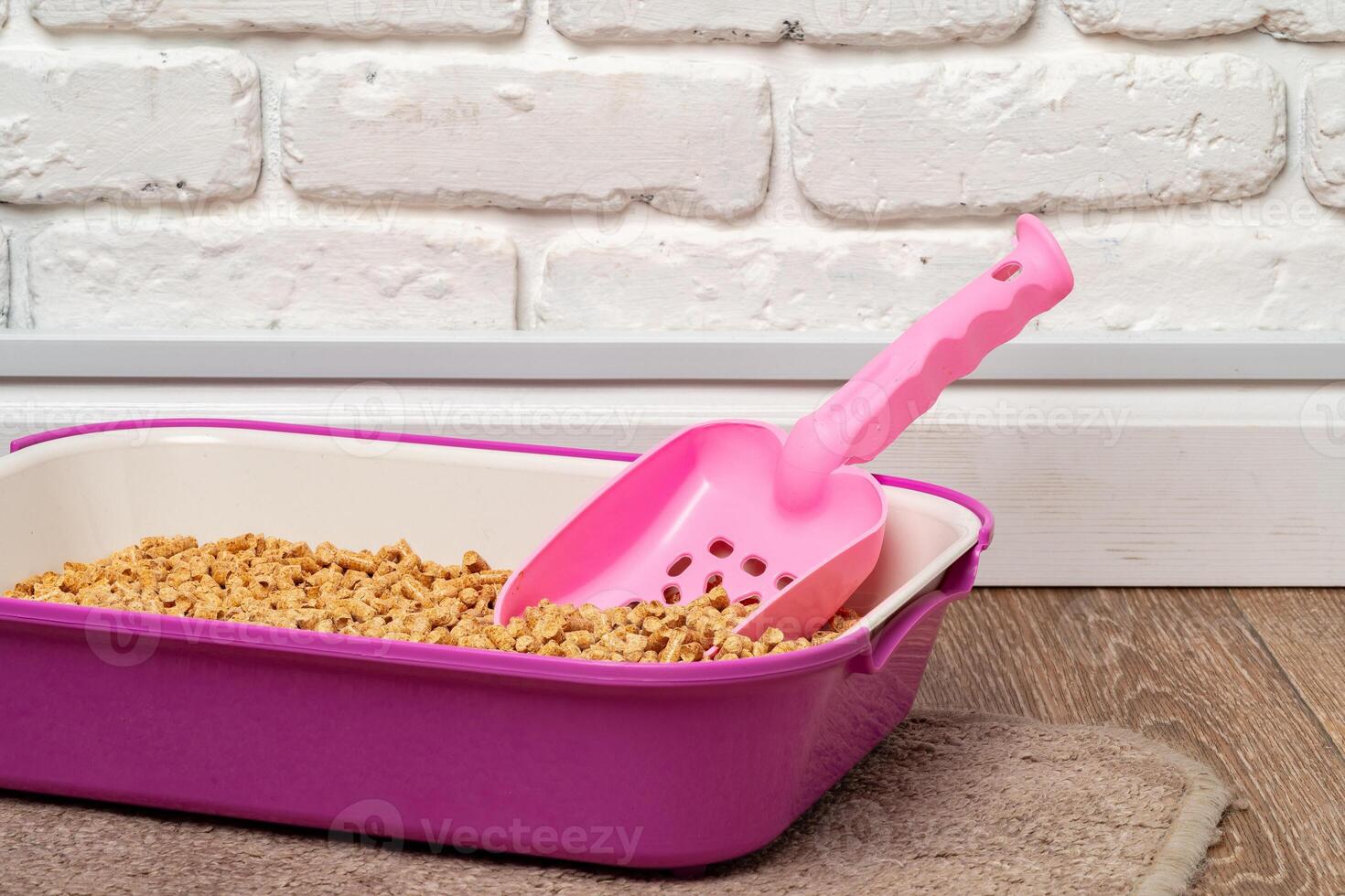 Plastic cat litter box in the bathroom photo
