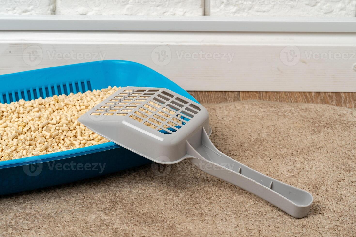 Plastic cat litter box in the bathroom photo