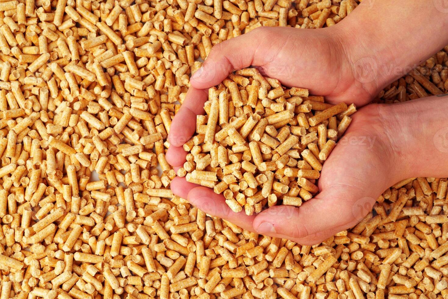 Human hands holding wooden pellets biofuel studio shot photo