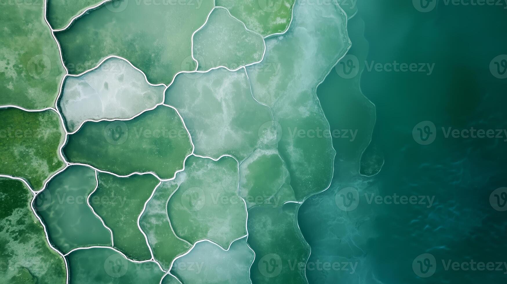 Unique aerial view of green abstract patterns resembling natural formations on the water surface at midday photo