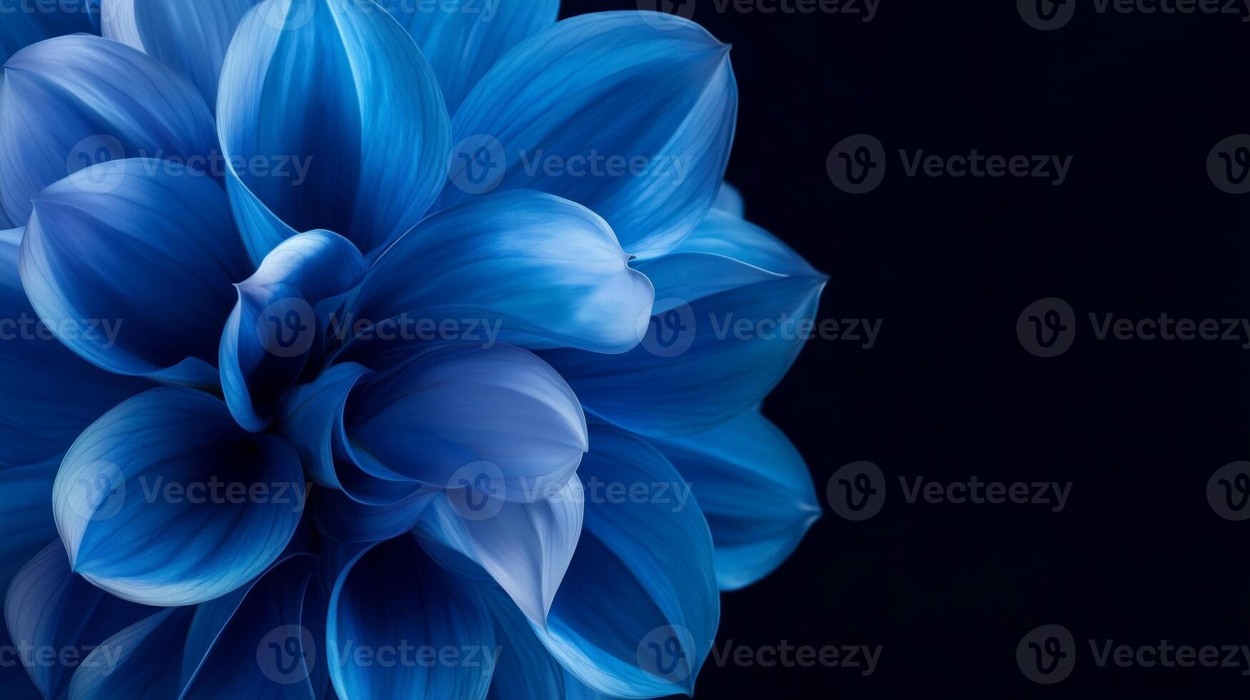 Vibrant blue flower blooming against a dark background showcasing intricate petal details and rich color depth photo