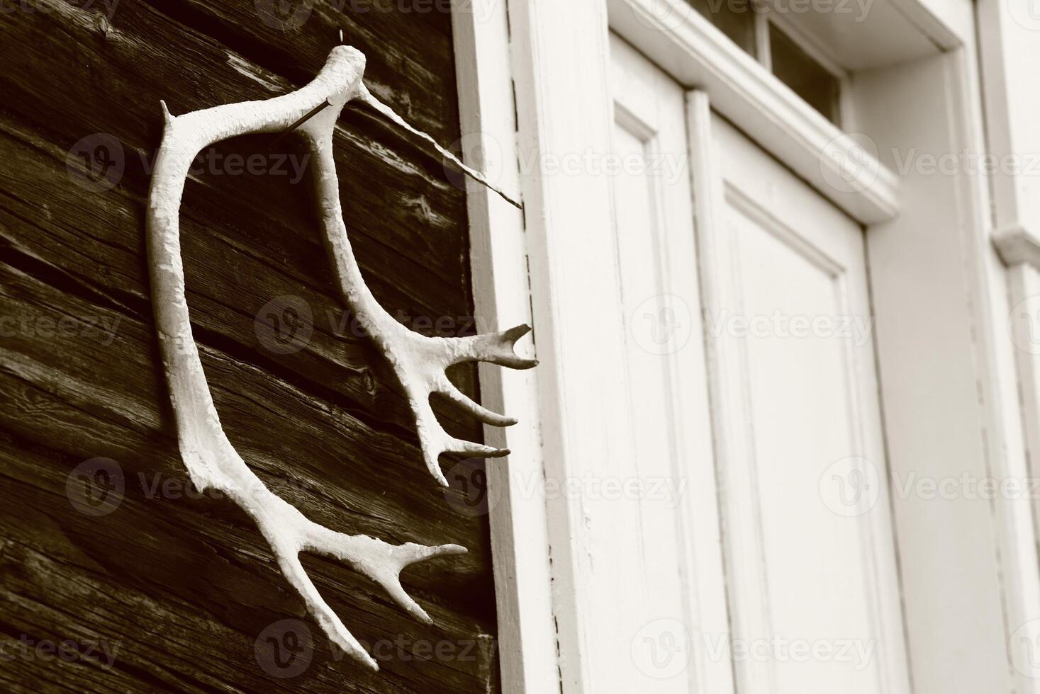 Antlers next to a house door in Sweden photo