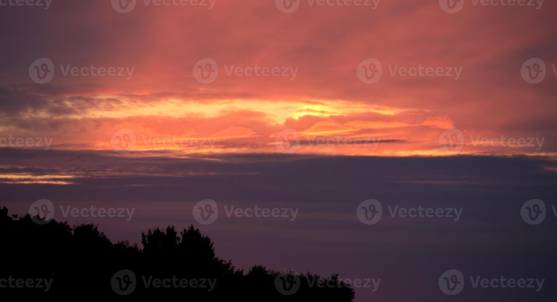 A colorful sunset sky in autumn with tree silhouettes photo