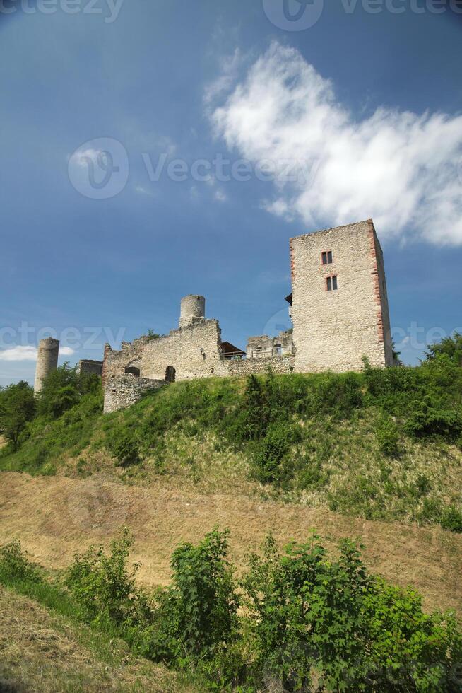 Castle Ruin Brandenburg on a sunny day photo