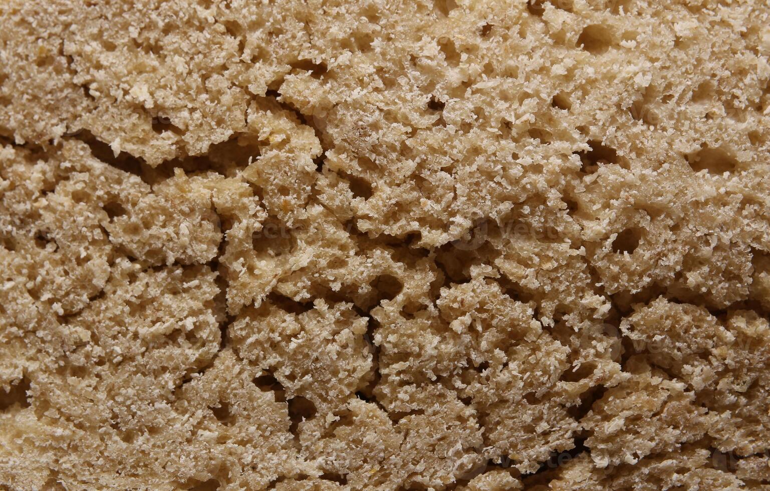 Macro shot of the structure of a bread photo
