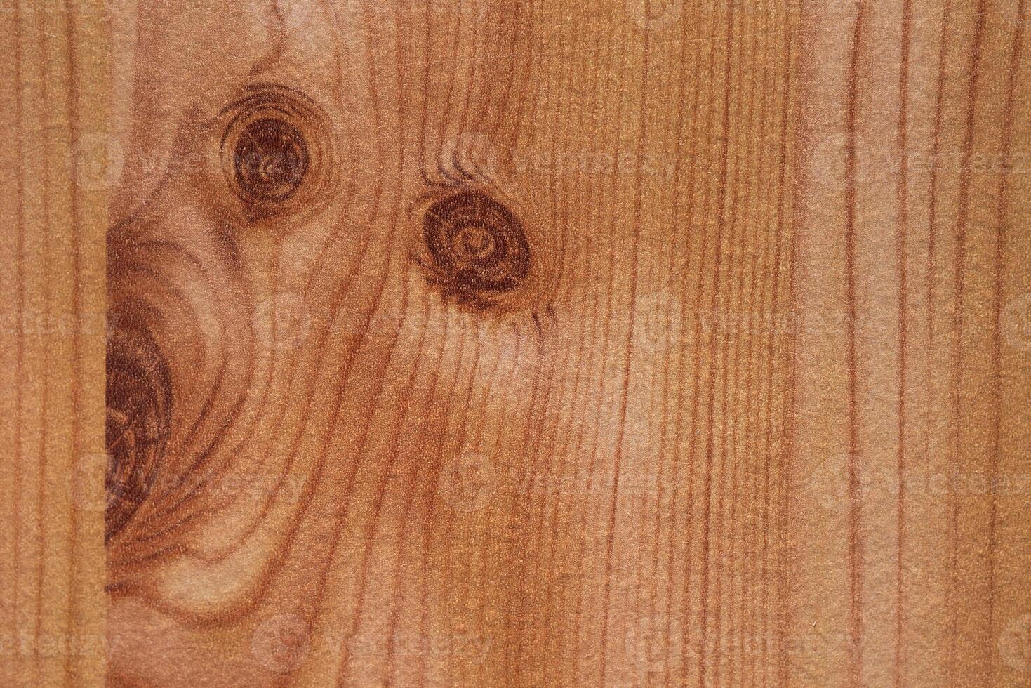 Macro shot of wood grain usable as texture or background photo