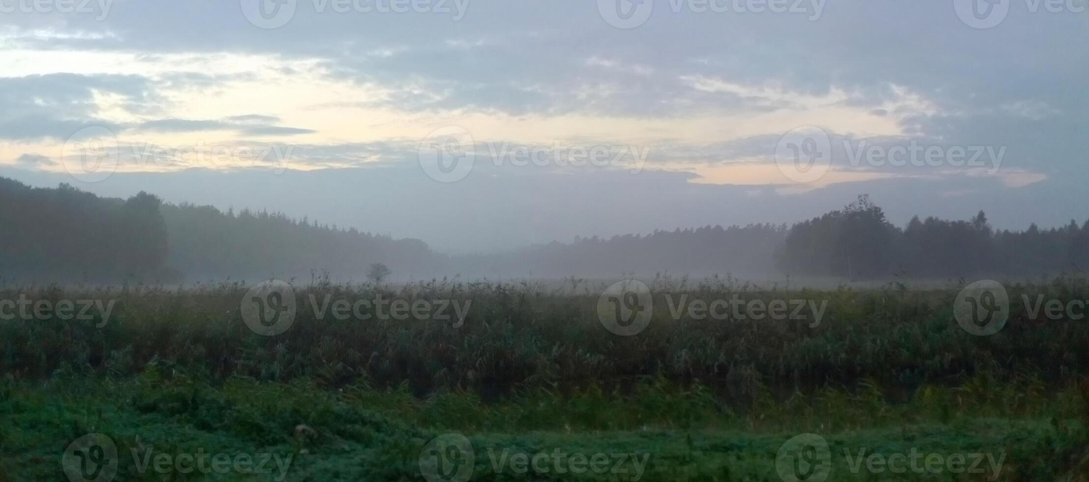 Panoramic view of swamp in dusk near Greifswald, Germany photo