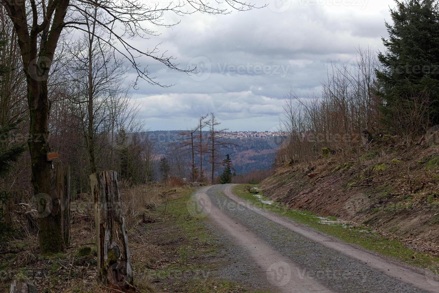 Mountain road in Black Forest, Baden-Wurttemberg, Germany. In the background the town of Dobel can be seen photo