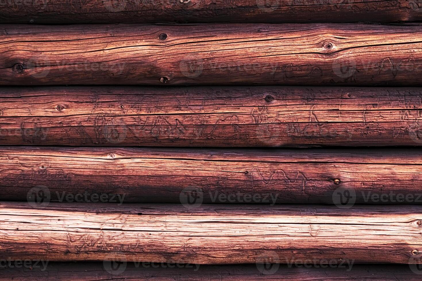 Wooden logs with a groove and hole structure made by insects photo