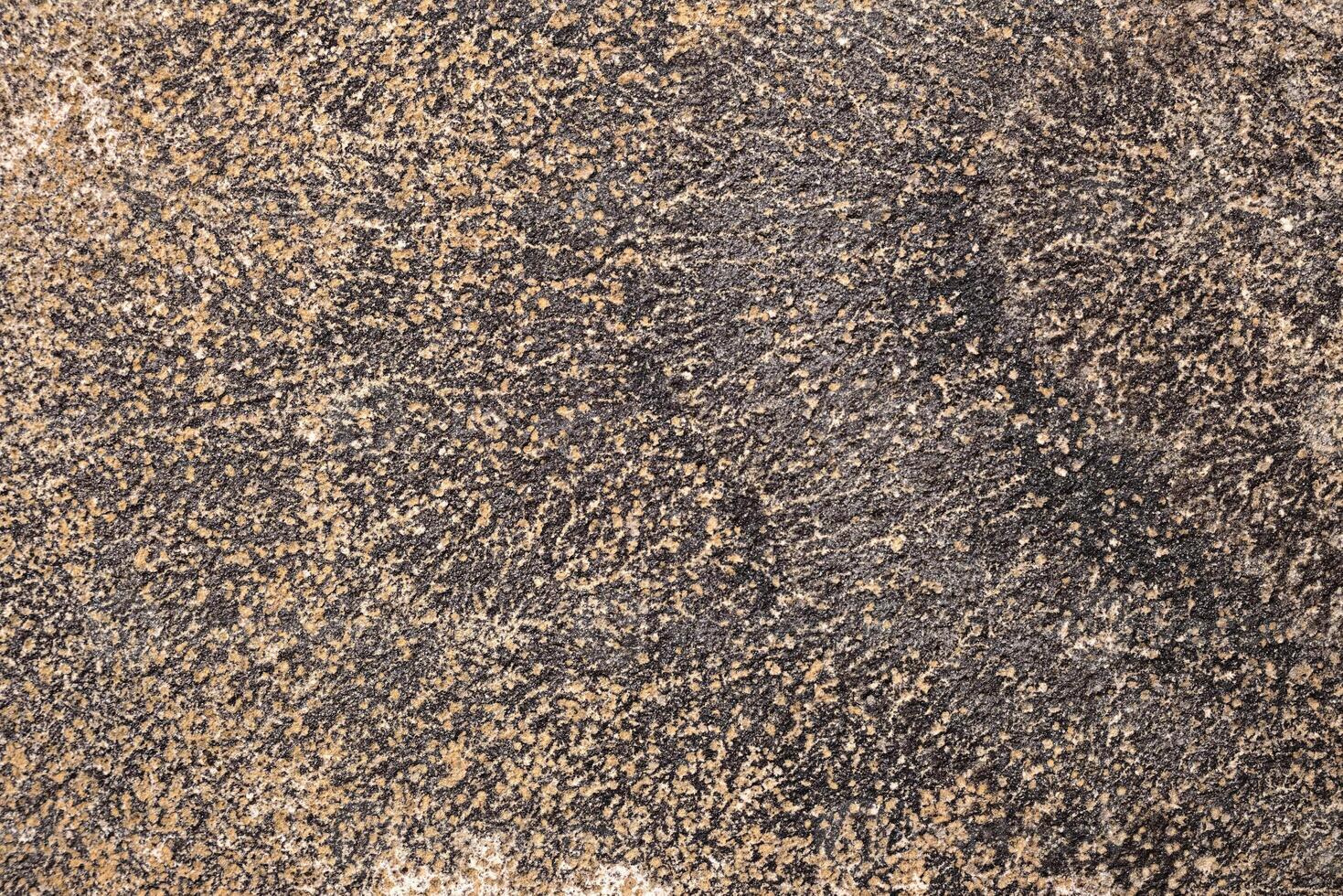 Macro shot of an architectural freestone texture photo