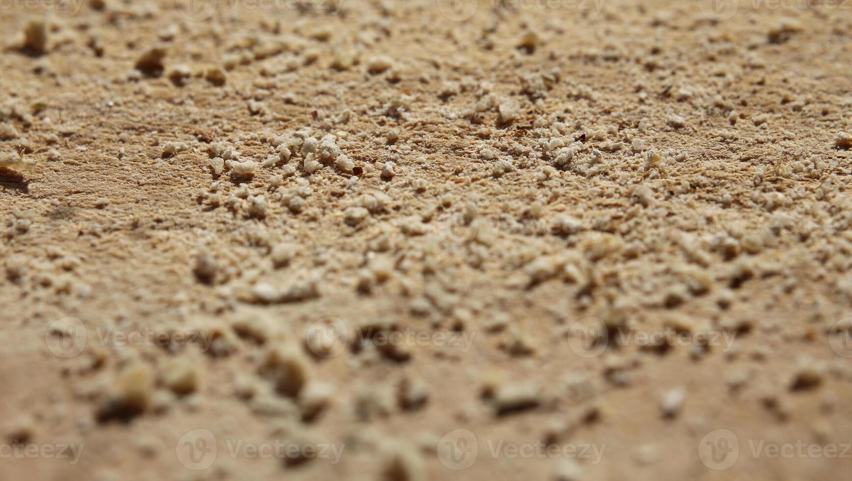 Macro of bread crumbs lying on a wooden slat photo
