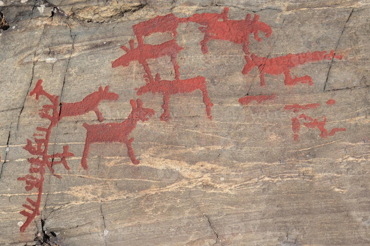 Ancient rock paintings in Naesaaker ins Sweden photo