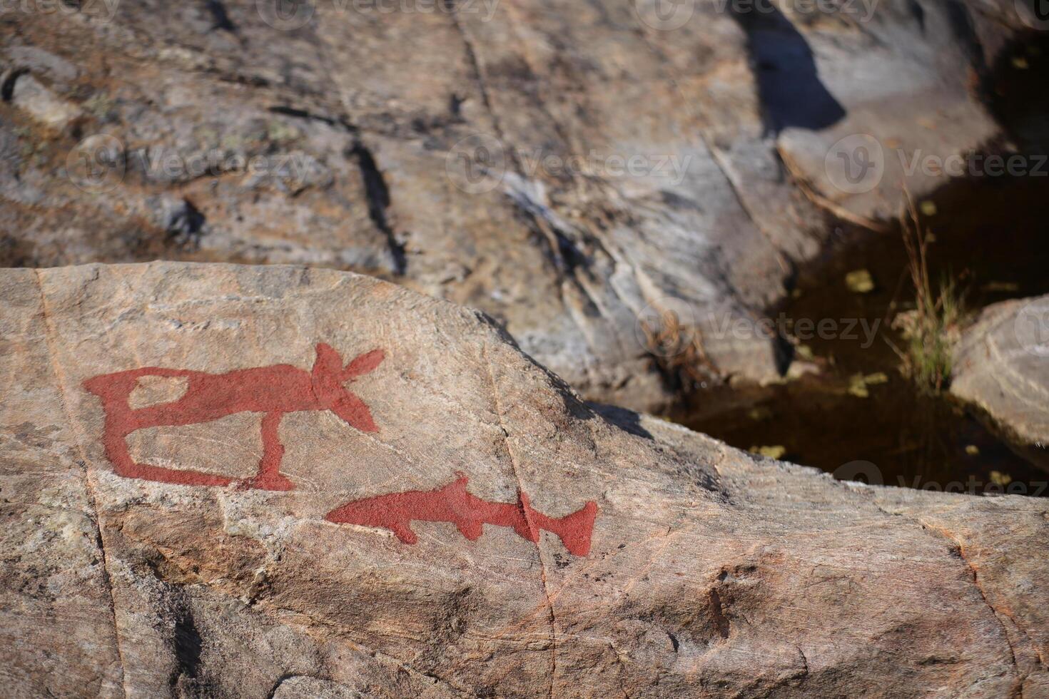 Ancient rock paintings in Naesaaker ins Sweden photo