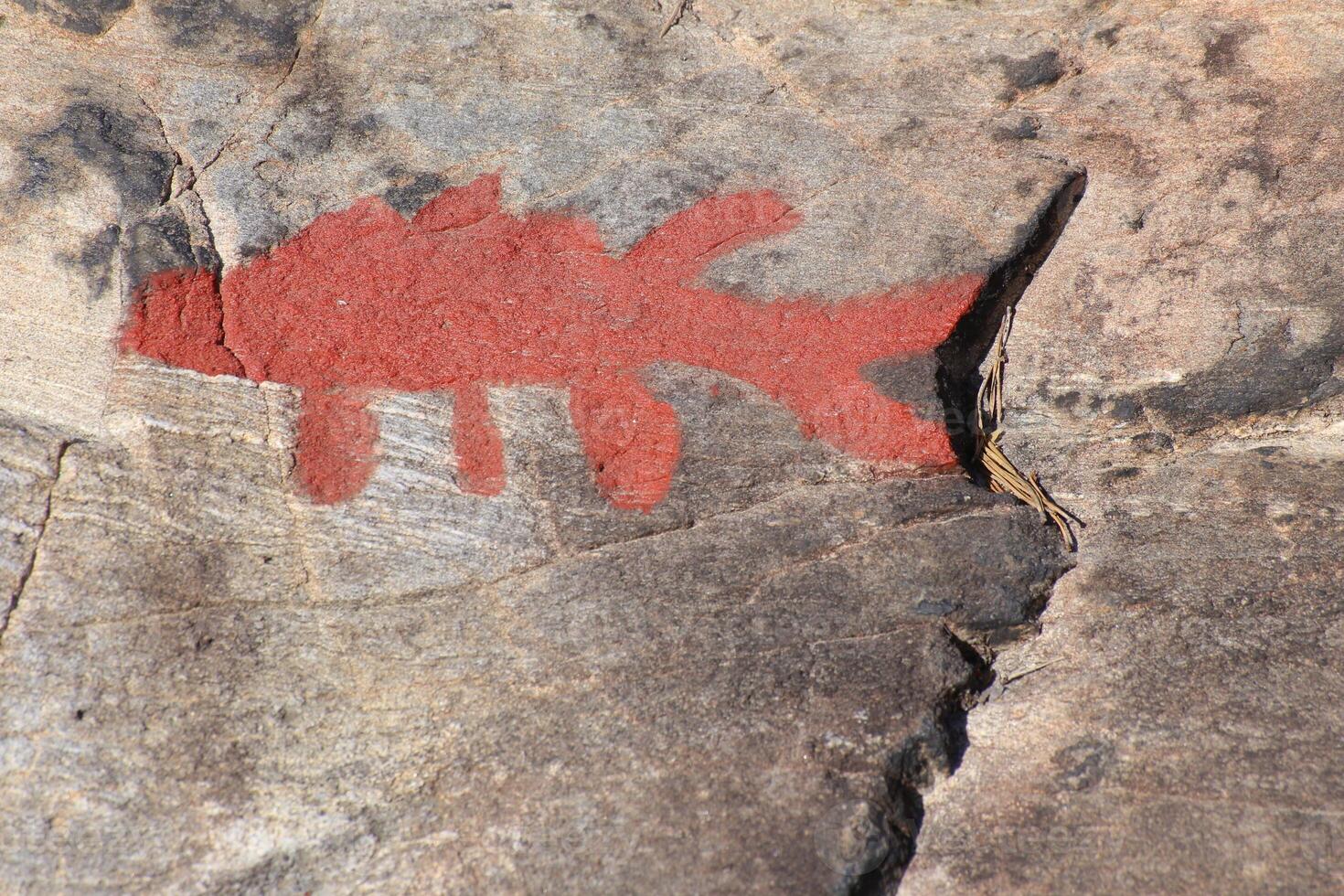Ancient rock paintings in Naesaaker ins Sweden photo