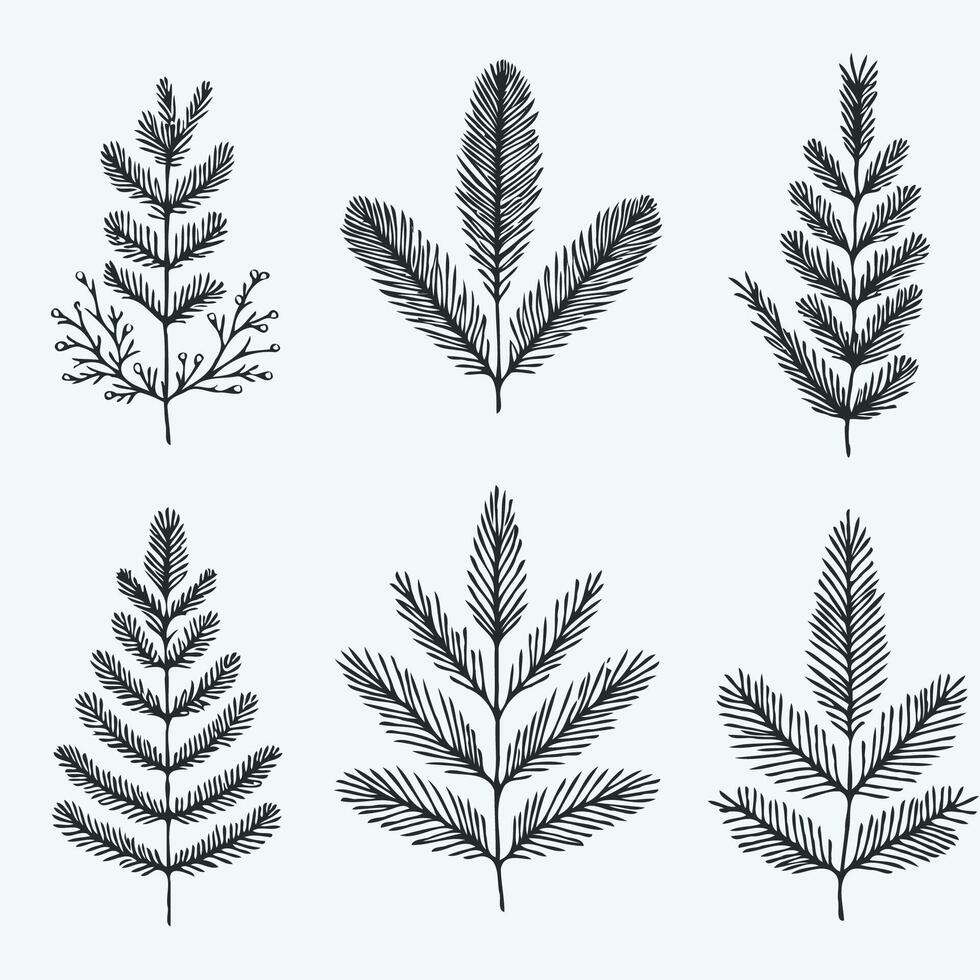 Fir Branches, Coniferous Tree, Linear Pine Cones, Pine. Set Of Christmas Tree Line Art vector