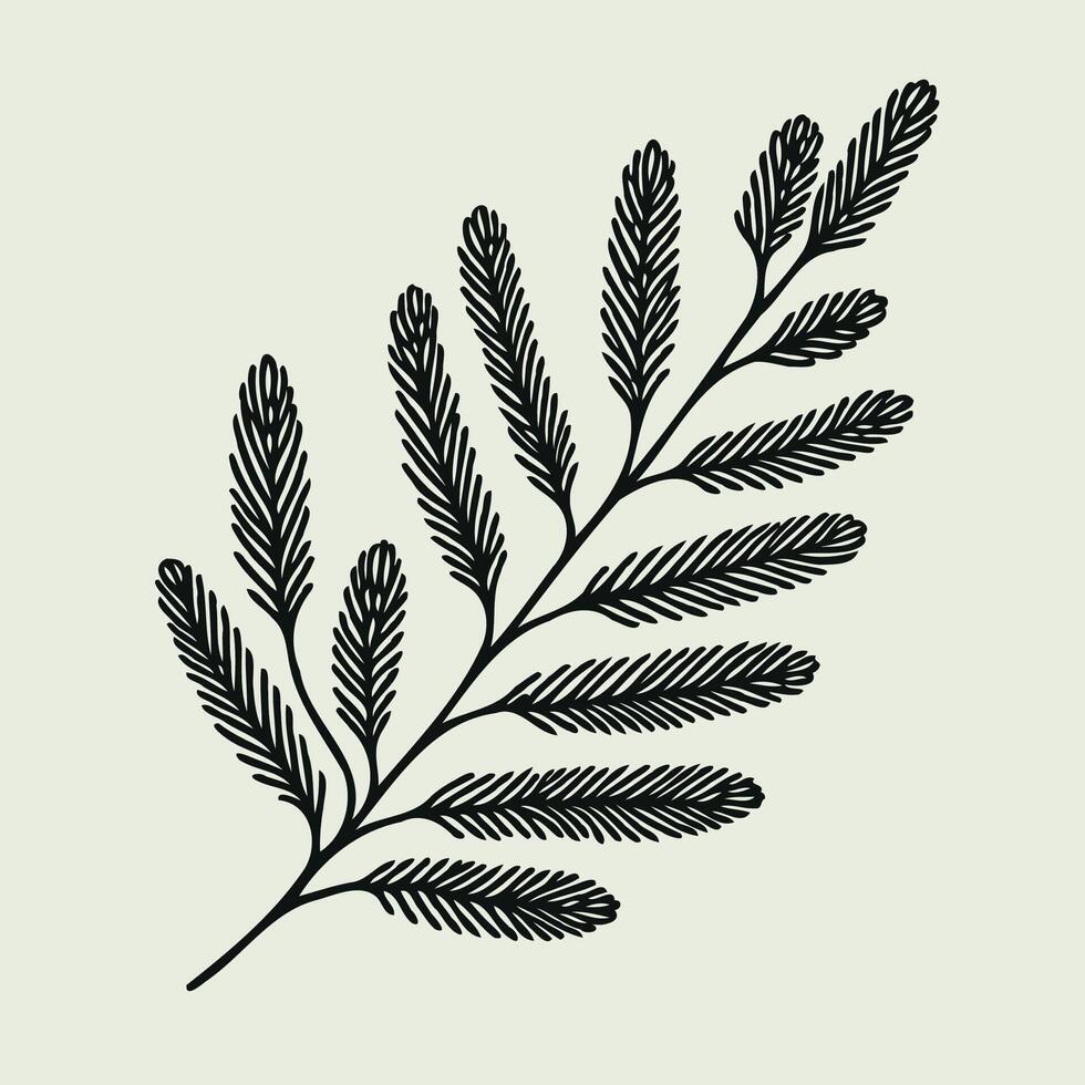 Fir Branches, Coniferous Tree, Linear Pine Cones, Pine. Winter Holiday Hand Drawn Elements. vector